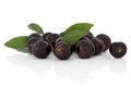 Blackthorn Fruit Royalty Free Stock Photo