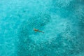 Blacktip Reef shark feeding