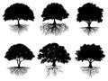 collection isolated trees and roots symbol silhouette style. Royalty Free Stock Photo