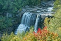 Blackwater Falls