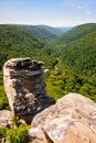 Blackwater Falls State Park Royalty Free Stock Photo