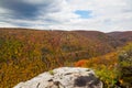 Blackwater Falls State Park covered in trees under a cloudy sky in autumn in West Virginia Royalty Free Stock Photo