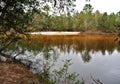 Blackwater River State Park in Florida