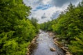 The Blackwater River at Blackwater Falls State Park, West Virginia Royalty Free Stock Photo