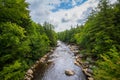 The Blackwater River at Blackwater Falls State Park, West Virginia Royalty Free Stock Photo