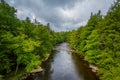 The Blackwater River at Blackwater Falls State Park, West Virginia Royalty Free Stock Photo