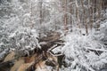 Blackwater State park trail with snow and ice Royalty Free Stock Photo