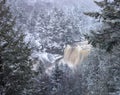 Blackwater State Park Falls in Snow Royalty Free Stock Photo