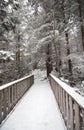 Blackwater State park trail with snow and ice Royalty Free Stock Photo