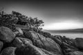 Blackwhite Photos landscape Wonderful Bintan Indonesia