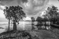 Blackwhite Photos landscape Wonderful Bintan Indonesia