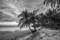 Blackwhite Photos landscape Wonderful Bintan Indonesia