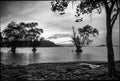 Blackwhite photos panorama of Bintan wonderful indonesia Royalty Free Stock Photo