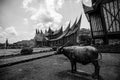 Blackwhite photos panorama of Padang wonderful indonesia Royalty Free Stock Photo