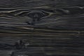Blackwood wood grain background showcases the intricate and dark texture of the wood Royalty Free Stock Photo