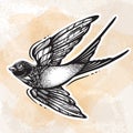 Blackwork tattoo flash. Beautifully detailed flying swallow bird. Vintage retro style design. Isolated vector illustration.