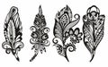 Blackwork tattoo Set of Various Feather Illustration Design, Black Feather Silhouette Template.Vector illustration. Royalty Free Stock Photo