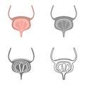 Bladder color flat, line, simple and monochrome icon set