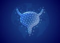 Bladder 3d low poly symbol with blue world map background. Reproductive system concept design vector illustration. Organ Royalty Free Stock Photo