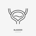 Bladder flat line icon. Vector thin pictogram of human internal organ, outline illustration for urology clinic