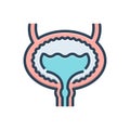 Color illustration icon for Bladder, urinary and urethra Royalty Free Stock Photo