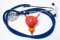 Bladder and prostate care and protection. Medical stethoscope folded into ring, surround bladder prostate, symbolizing care, prote