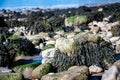 Bladderwrack seaweed covering rocks in Clevedon, Somerset