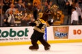 Blade Boston Bruins mascot