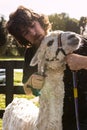 Blade shearing of an alpaca, New Zealand