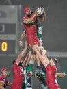 Benetton Treviso vs Scarlets Rugby