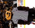 Blades Boston Bruins Mascot