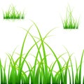 Blades of Grass Royalty Free Stock Photo