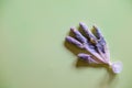 Blades of grass and yellow flowers inside a medical glove as a symbol of fighting coronavirus