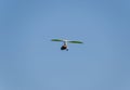 Flying hang-glider with a motor in the sky. Trike, flying in the sky with two people. Extreme Entertainment travelers