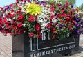 Multiple colored flowers bloom in a plant container at G Street plaza