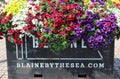 Multiple colored flowers bloom in a plant container at G Street plaza