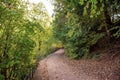 Path in woodland Royalty Free Stock Photo