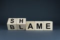 Blame or shame. Concept of social problems