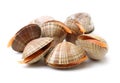 Blanch clams