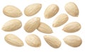 Blanched almond set isolated on white background. Package design elements Royalty Free Stock Photo