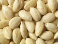 Blanched almonds