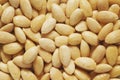 Blanched Almonds Background Royalty Free Stock Photo