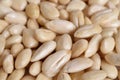 Blanched almonds Royalty Free Stock Photo