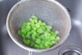 Blanched celery in a colander in the sink Royalty Free Stock Photo