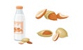 Blanched and Unshelled Almond Nut as Edible Seed and Bottle of Milk Vector Set