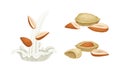 Blanched and Unshelled Almond Nut as Edible Seed and Milk Splash Vector Set