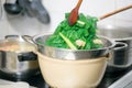 Blanching hot chard using kitchenware Royalty Free Stock Photo