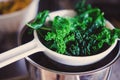 Blanching kale Royalty Free Stock Photo