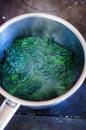 Blanching kale Royalty Free Stock Photo
