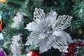 Blanching snowflake on green fir tree Royalty Free Stock Photo
